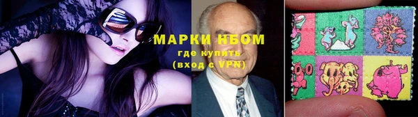 прущие грибы Баксан