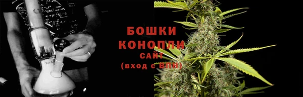 не бодяженный Белокуриха