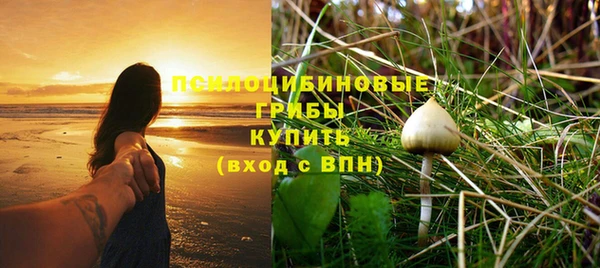 не бодяженный Белокуриха