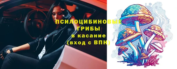 не бодяженный Белокуриха
